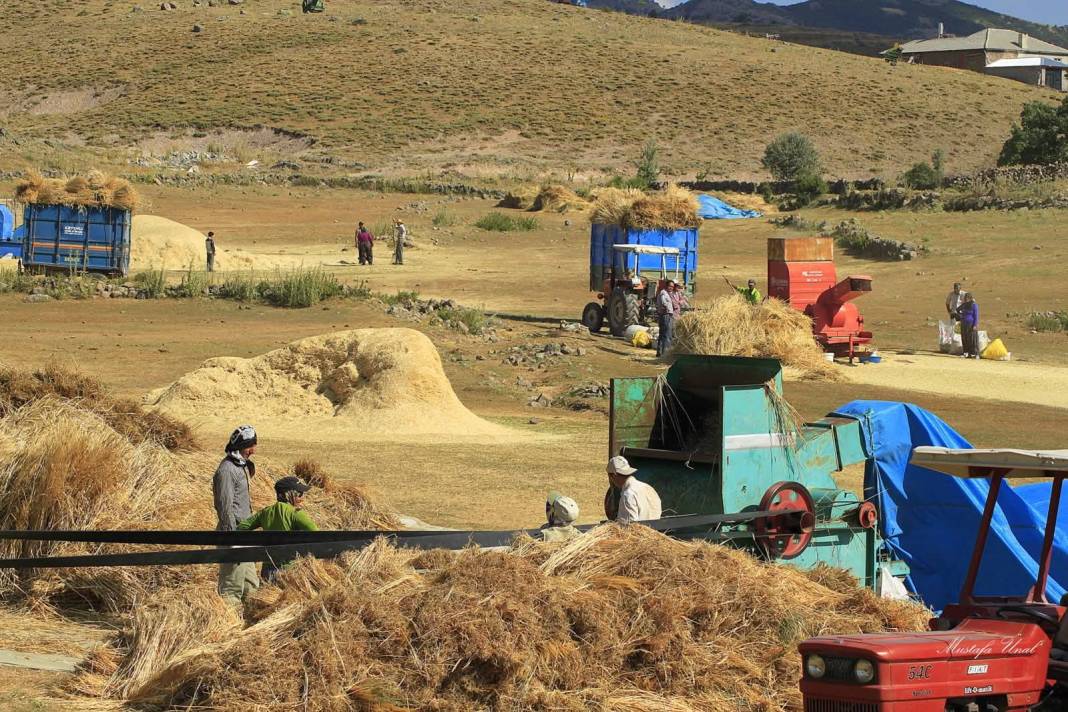 Konya’da kuraklığın içine çizilmiş harman portresi 8